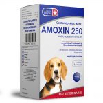 Amoxin 250 - 30 ml