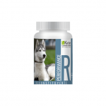 Performance Reconstituyente