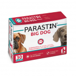 Parastin Big Dog