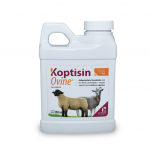 Koptisin Ovine Oral 250 ml