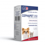 Cephapet 250 - 60 ml