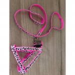 Pechera con Correa - Mini - Listón