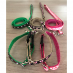 Collar con Correa Mini Listón