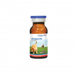 Ketamin Pet 10 ml