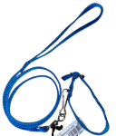 Collar con correa - Chico - Reforzado