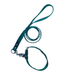 Collar con correa - Mini - Reforzado