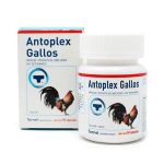 Antoplex Gallos 90 Capsulas