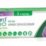 Nexgard Combo - Gato - S -(0.3 ML) - 1 Jeringa - 0.8-2.5 KG