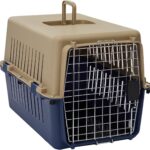 Transportadora eco travel #1