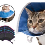 Collar Isabelino P/Gato - Grande - Negro