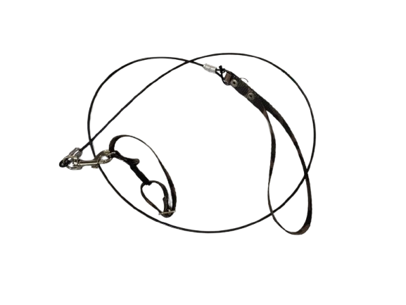 Collar con Correa de Acero - Mini - Reforzado