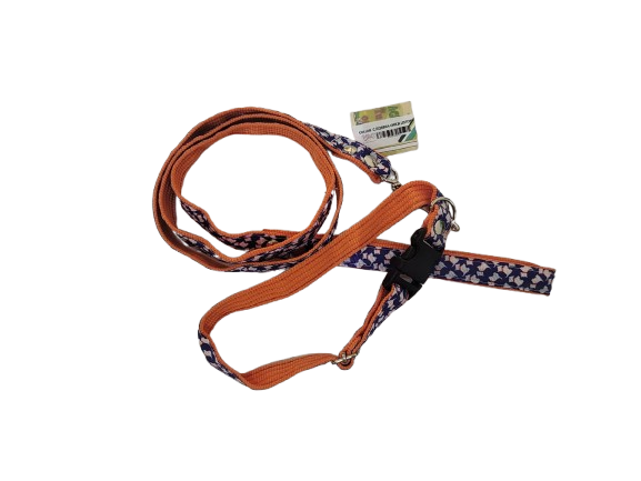 Collar con Correa - Chico - Liston