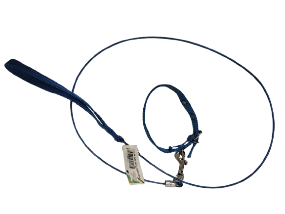 Collar con Correa de Acero - Mini - Estampado