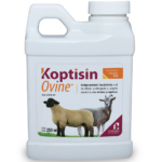 Koptisin Ovine - Susp Oral - 1lt