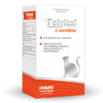 Felvital - L-Carnitina - 80 ml