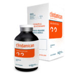 Clindamican - Sol. Iny - 30ml