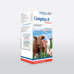 Complejo B - Reforzado - 100 ml